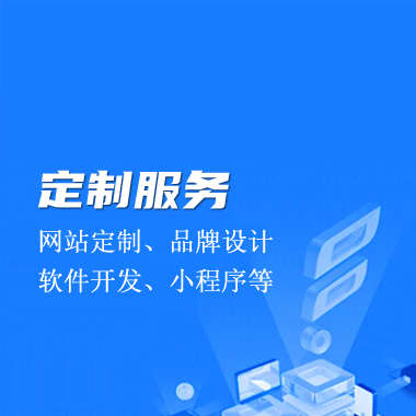 定制开发服务
